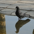 20100424 184501